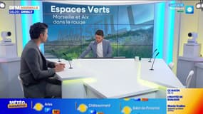 Espaces verts : Marseille et Aix en retard