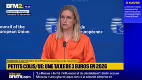 "Un vaste soutien des pays membres": l'UE va mettre en place une taxe de 3 euros sur les petits colis