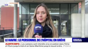 "C'est invivable": le personnel du groupe hospitalier du Havre en grève