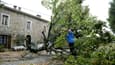 Une femme coupe les branches d'un arbre qui est tombé à Marato, près de Cognocoli Monticchi, après les violents orages qui ont fait trois morts en Corse, le 18 août 2022

