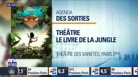 Sortir à Paris : La comédie musicale du Livre de la Jungle à découvrir au Théâtre des Variétés