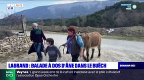 Hautes-Alpes: balade à dos d'âne à Lagrand