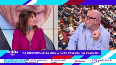 Possible dissolution : "Il faut arrêter les mariages entre la carpe et le lapin pour dire "non à l'extrême droite"", affirme Fred Hermel