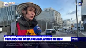 Strasbourg: un collectif de riverains réclame moins de voitures, avenue du Rhin