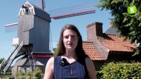 Label Flandre : A la découverte des moulins de la Flandre