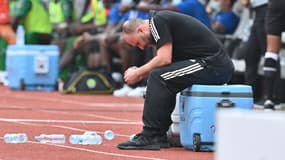 Djamel Belmadi le sélectionneur de l'Algérie lors de la CAN 2022