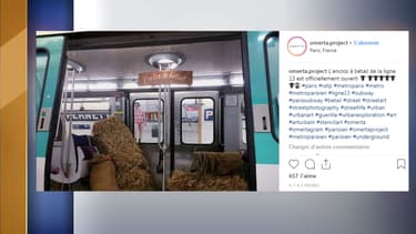 Du foin répandu dans une rame de métro
