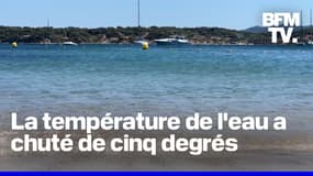 Qu'est-ce que l'"upwelling", ce phénomène qui a fait chuter brusquement les températures de la mer Méditerranée?  