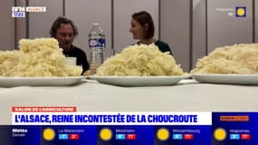Salon de l'Agriculture: la choucroute alsacienne distinguée au concours général agricole
