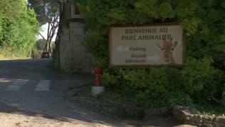 Le zoo de la Barben, dans les Bouches-du-Rhône a été touché par un impact de foudre, mercredi 14 mai 2025.