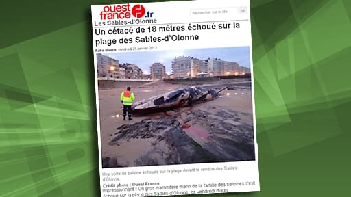 Cette baleine, un rorqual selon les pompiers, s'est échouée sur la plage dite "des Présidents"