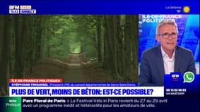 Île-de-France: un plan "pas suffisamment ambitieux" pour diminuer l'artificialisation?