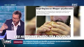 Burger King lance un burger qui pollue moins