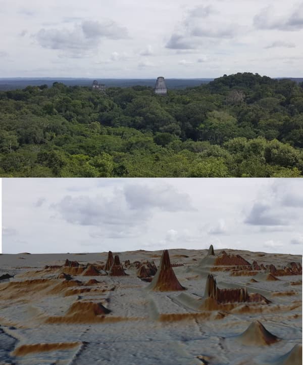 La cité cachée sous la jungle