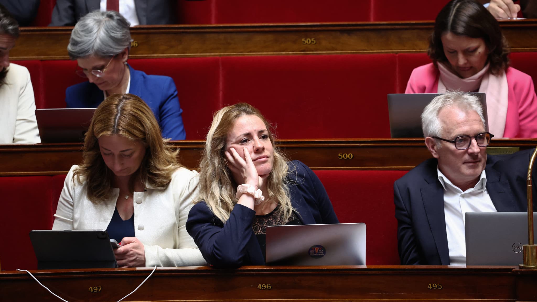 La députée Marie Pochon à l'Assemblée nationale le 4 avril 2024 La députée Marie Pochon à l'Assemblée nationale le 4 avril 2024
