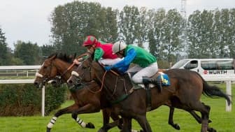 Les pronos hippiques du mardi 21 mai 2024