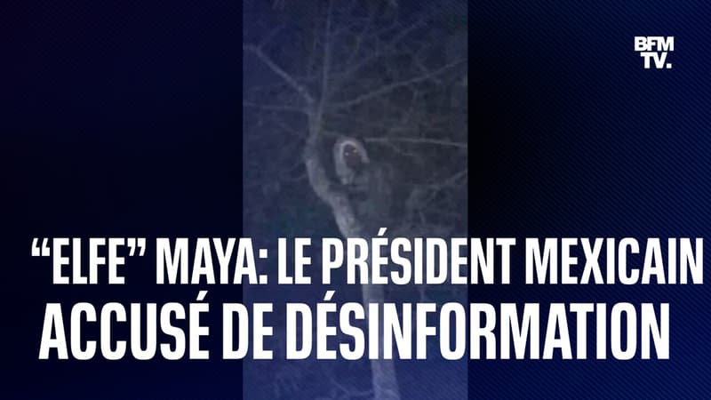 Le président mexicain a publié une photo de ce qu'il prétend être un elfe maya mais des internautes l'accusent de désinformation