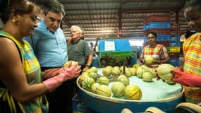 François Fillon, ancien Premier ministre français et candidat à la primaire de la droite pour 2017 dans une ferme en Guadeloupe, le 18 avril 2016