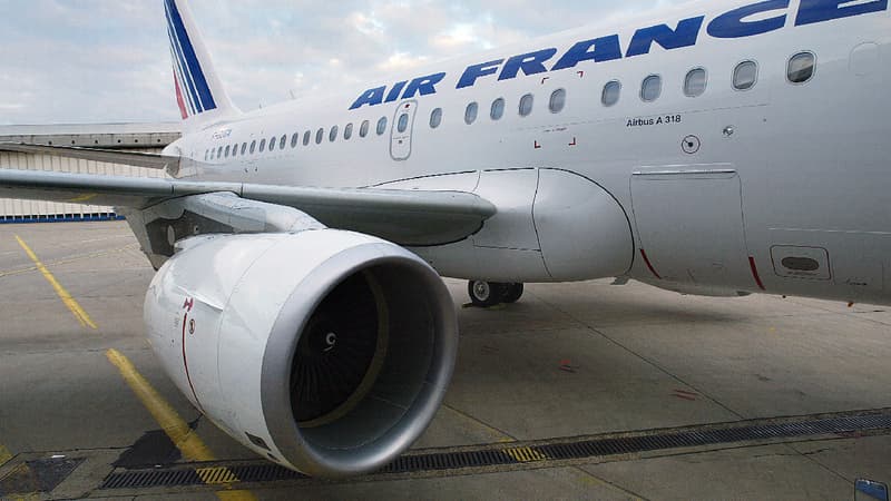 Air France prévoit la reprise de ses vols vers Saint-Barthélémy et Saint-Martin au cours du premier trimestre 2018 (image d'illustration)