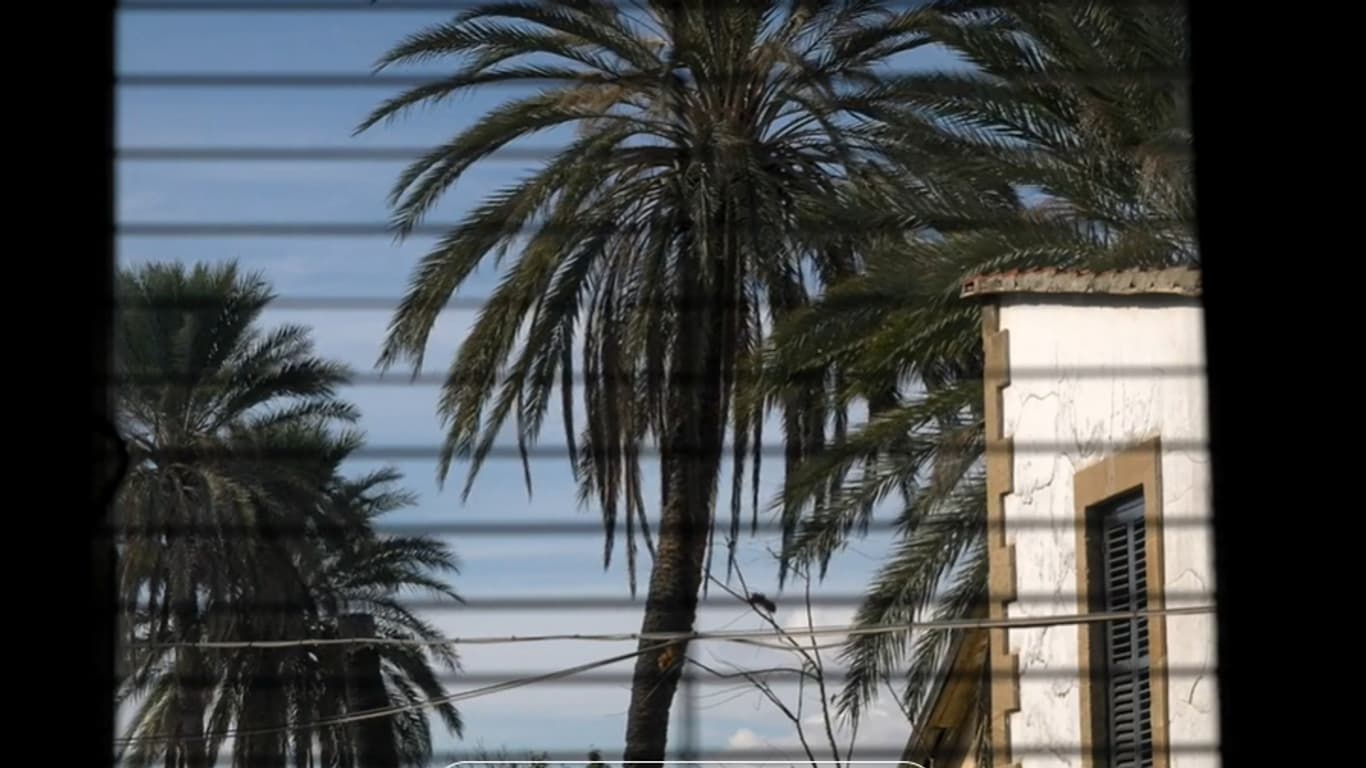 Une vue de Nicosie, à Chypre. Une vue de Nicosie, à Chypre.