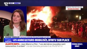 Opposition au traité UE-Mercosur: "Une bataille culturelle gagnée pour les écologistes", selon Marine Tondelier