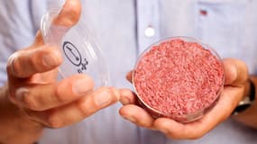 Un steak artificiel produit par Mosa Meat