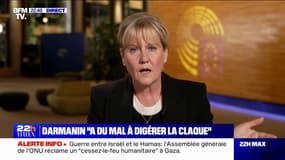 Projet de loi immigration: "C'est du Grand-Guignol place Beauvau", juge Nadine Morano (LR)