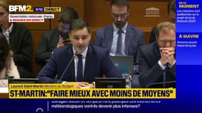 "Faire mieux avec moins de moyens", assume le ministre du Budget Laurent Saint-Martin