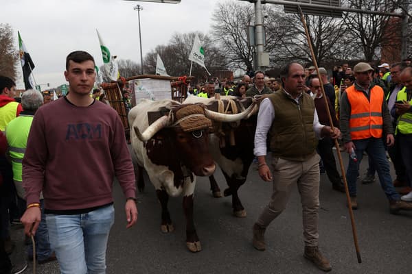 Des agriculteurs manifestent à Madrid, le 21 février 2024