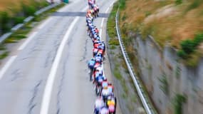 Le peloton lors du Tour de France 2024