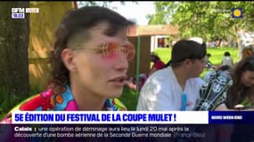 Belgique: la 5e édition du festival de la coupe mulet se tient ce week-end, 1.500 personnes attendues