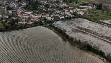 Des vignes inondées par la crue de la Garonne, à Portets, en Gironde, le 5 février 2026.
