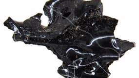 Le fragment de cerveau d'une victime de l'éruption volcanique du Vésuve il y a près de deux mille ans.
