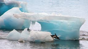 L'Antarctique contient assez d'eau pour faire élever le niveau des océans du globe d'au moins un mètre.