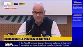 Dermatose nodulaire : "la meilleure solution", Arnaud Rousseau explique la raison pour laquelle le protocole d'abattage a été validé par la FNSEA