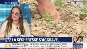 La sécheresse gagne du terrain