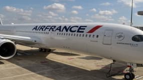 Un plan historique débloqué par l'Etat pour sauver Air France