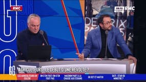 Manifestations d'agriculteurs: "La main qui te nourrit, tu dois la respecter", défend Stéphane Manigold  