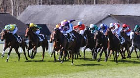 Les pronos hippiques du 4 novembre 2024