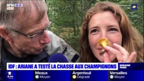 Ariane a testé la chasse aux champignons en IDF !