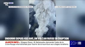 Le volcan Kracheninnikov, situé en Russie, est entré en éruption alors qu'il était endormi depuis 450 ans