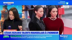 César 2026 : des talents marseillais à l'honneur !