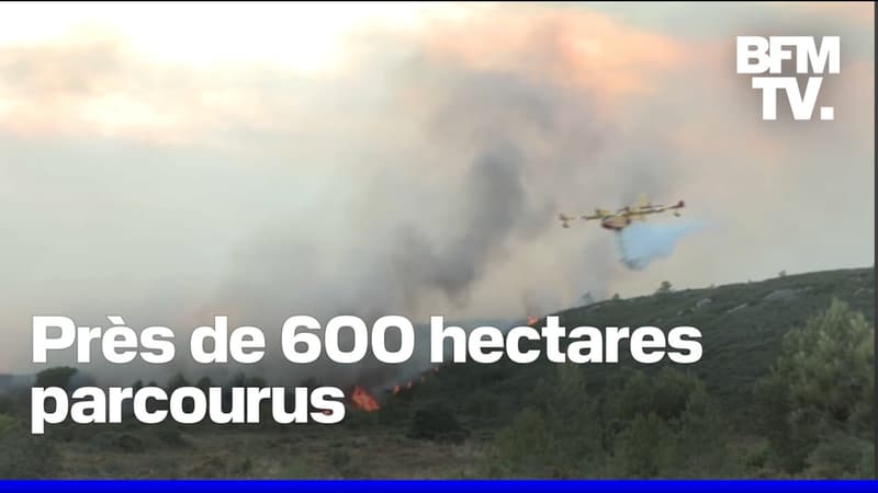 Après avoir stabilisé l'incendie dans l'Aude, les pompiers tentent de le fixer