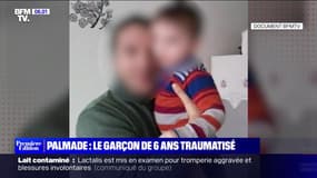 Le neveu du conducteur gravement blessé dans l'accident avec Pierre Palmade dénonce "un geste irrespectueux"