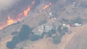 Les flammes ont ravagé plusieurs milliers d'hectares de végétation.