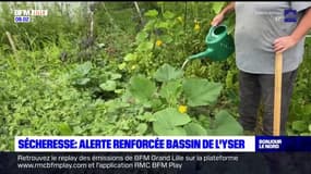  Sécheresse: alerte renforcée dans le bassin de l'Yser, des restrictions d'eau en vigueur