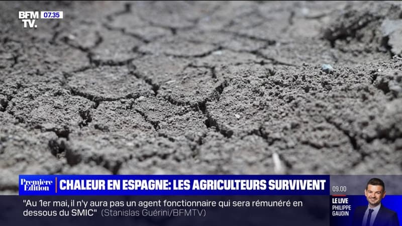 Lees agriculteurs espagnols tentent de sauver leurs récoltes face à la sècheresse