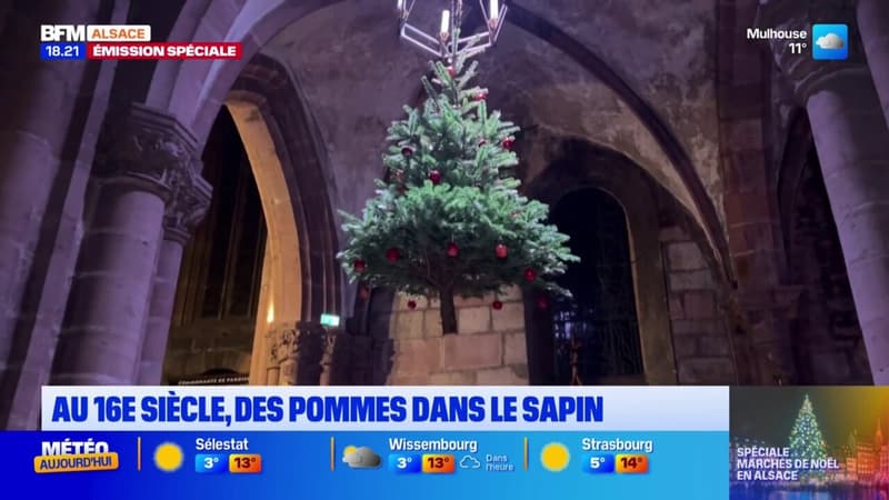 Marché de Noël de Sélestat: des pommes aux boules de Noël dans les sapins