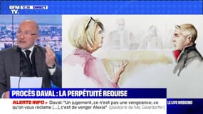 Procès Daval : la perpétuité, une peine "énorme" ? - 21/11