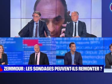 Story 4 : Zemmour, la semaine quitte ou double - 29/11